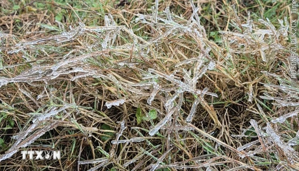 Tận thấy băng tuyết trên đỉnh Mẫu Sơn