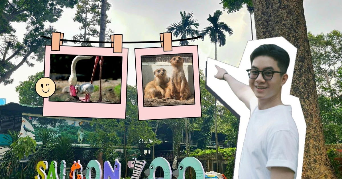 Thảo Cầm Viên "gây sốt" trở lại: Từ ký ức tuổi thơ đến điểm nạp "vitamin tree"