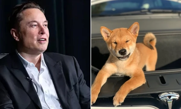Elon Musk tuyên bố đã từ chức và “bổ nhiệm” chú chó của mình làm CEO  Twitter | Báo điện tử Tiền Phong
