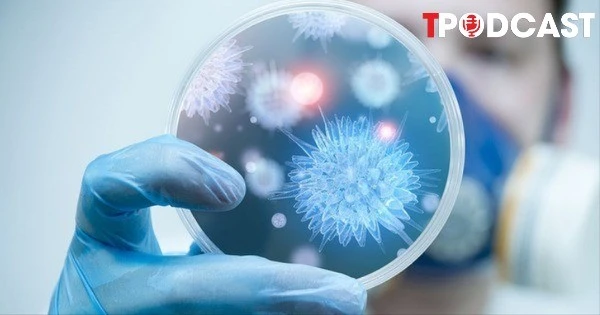 NÓNG 28/1: Đánh giá mới nhất của WHO về rủi ro lây lan virus Nipah từ Ấn Độ