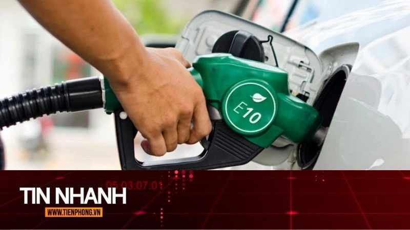 TIN NHANH: Hàng loạt hãng xe trả lời về khả năng tương thích của xăng E10