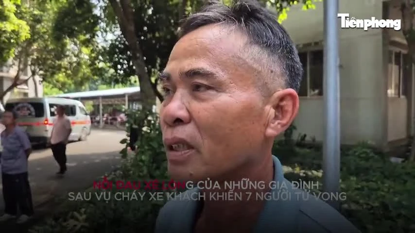 Bài viết