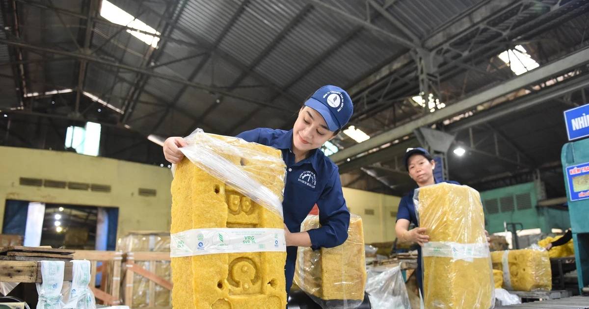 Từ màu xanh cao su đến giá trị bền vững của VRG