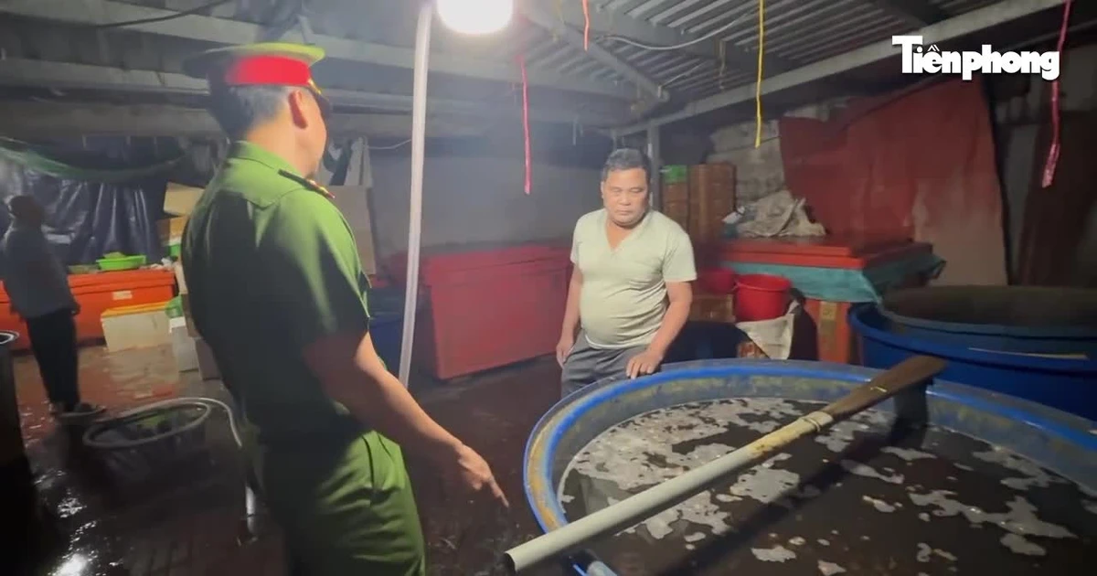 Kinh hoàng đường dây 'phù phép' 3.000 tấn thịt ốc bằng hóa chất công nghiệp