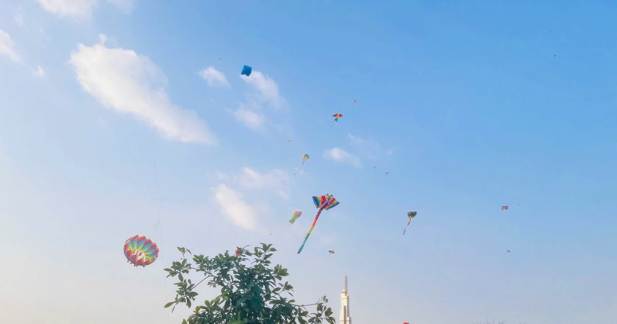 Cánh đồng diều Thủ Thiêm vào mùa 'hút' giới trẻ