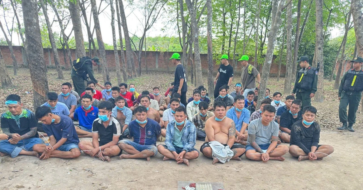 Lật tẩy đường dây đá gà gian lận công nghệ cao của 'Chú Ba Tân Định'