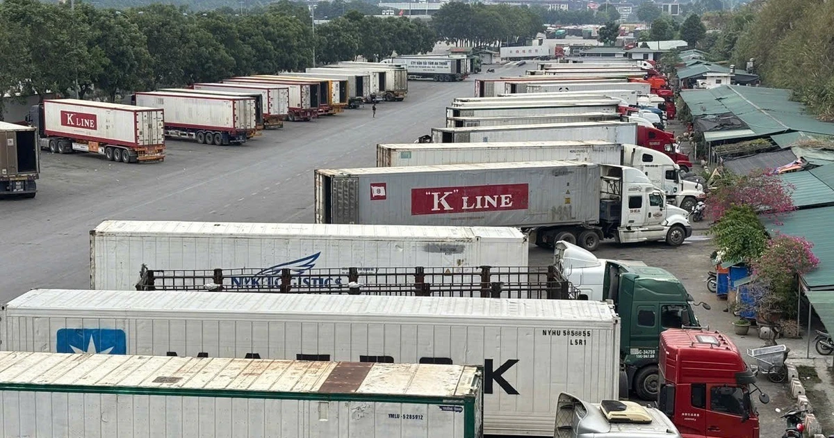 Bộ Y tế yêu cầu địa phương sẵn sàng nguồn lực triển khai Nghị định 46 từ 16/4