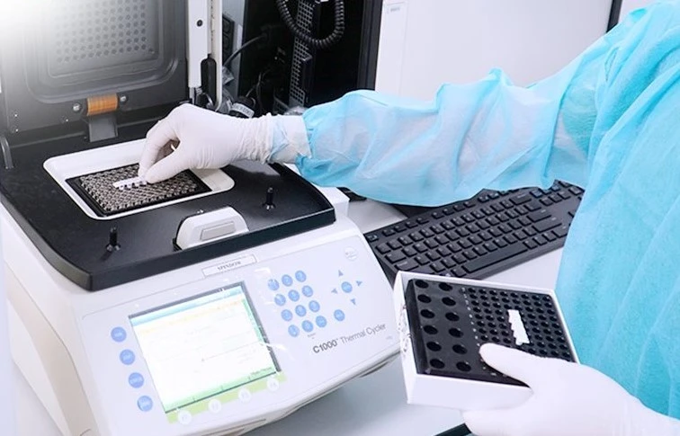 RSV – mối đe dọa ít được chú ý với người cao tuổi và mắc bệnh nền