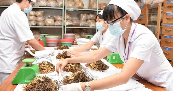 Đưa y học cổ truyền về với cộng đồng: Hướng đi chiến lược cho sức khỏe nhân dân