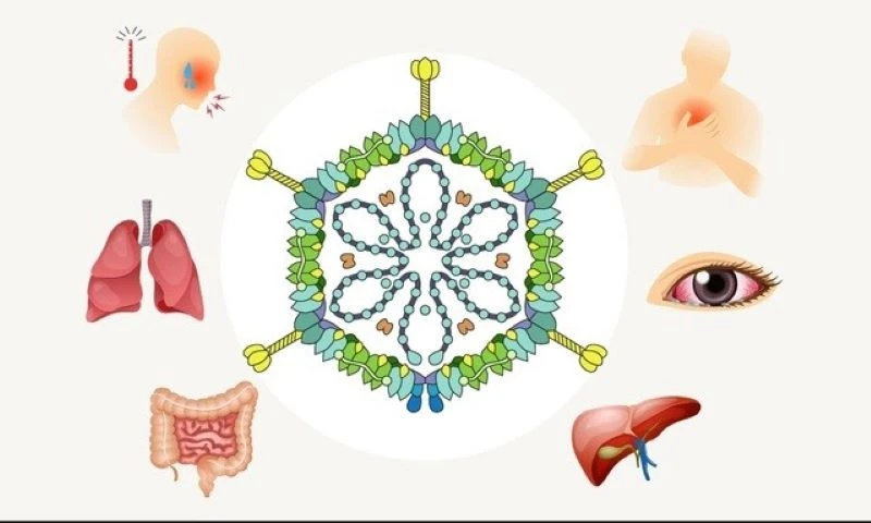 Adenovirus tăng gấp 3 lần, cảnh báo nguy cơ lây nhiễm từ bể bơi công cộng
