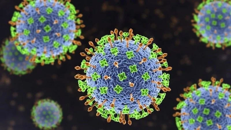 Bộ Y tế cảnh báo nguy cơ từ virus Nipah: Chưa có vắc xin, tỉ lệ tử vong cao