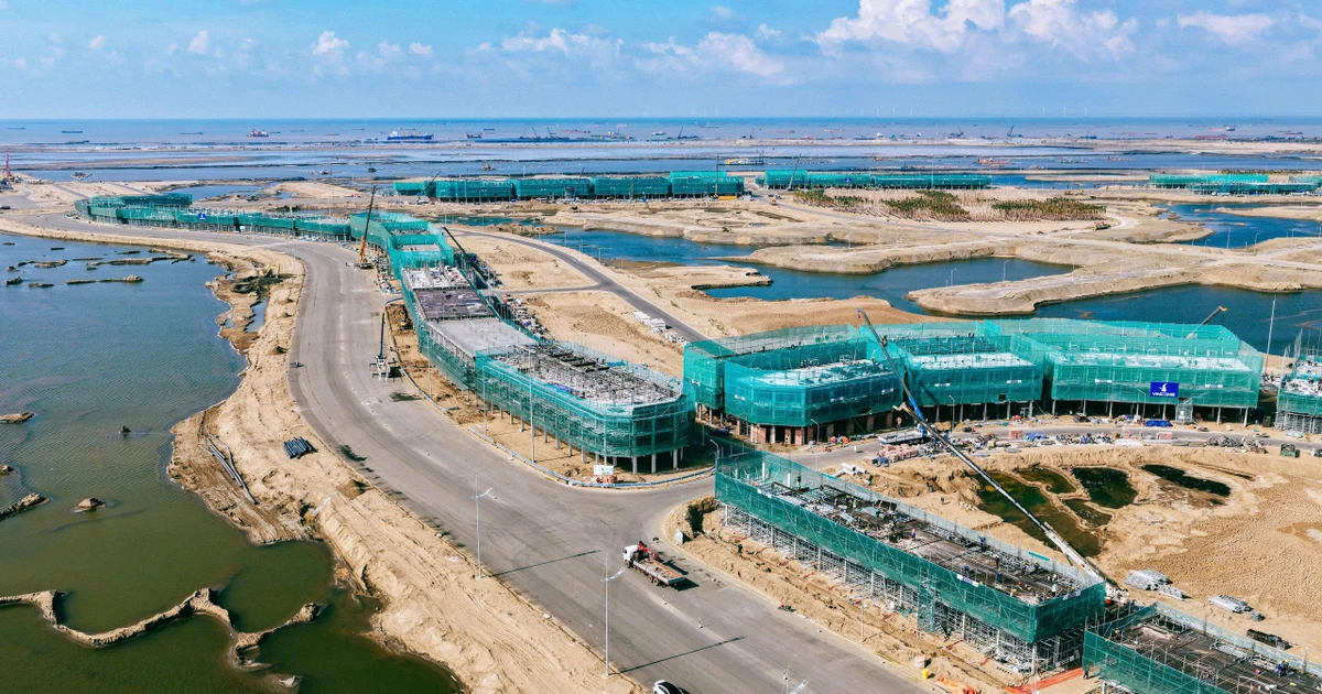 Thay đổi kỳ lạ sau một năm ở 'siêu dự án' lấn biển Cần Giờ
