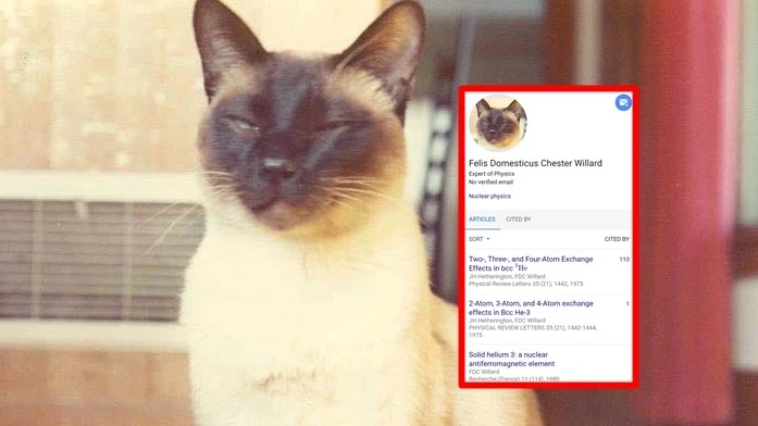 Một chú mèo là đồng tác giả công trình nghiên cứu khoa học, thực hư thế nào?