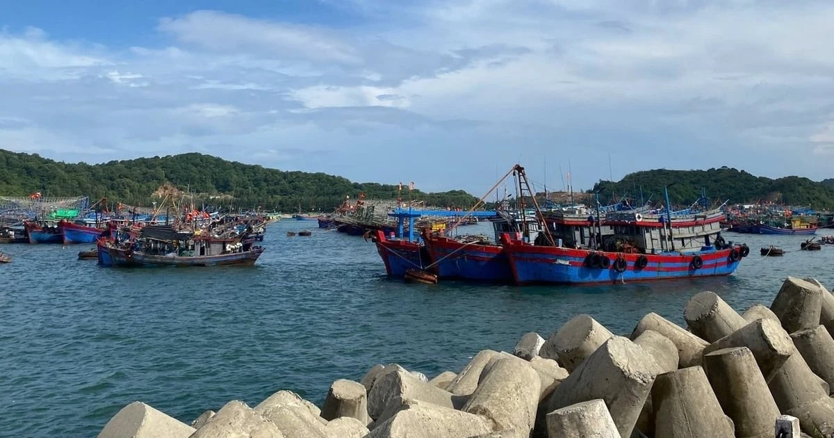 Phát hiện nhiều khu neo đậu tàu cá ở Quảng Ninh xuống cấp