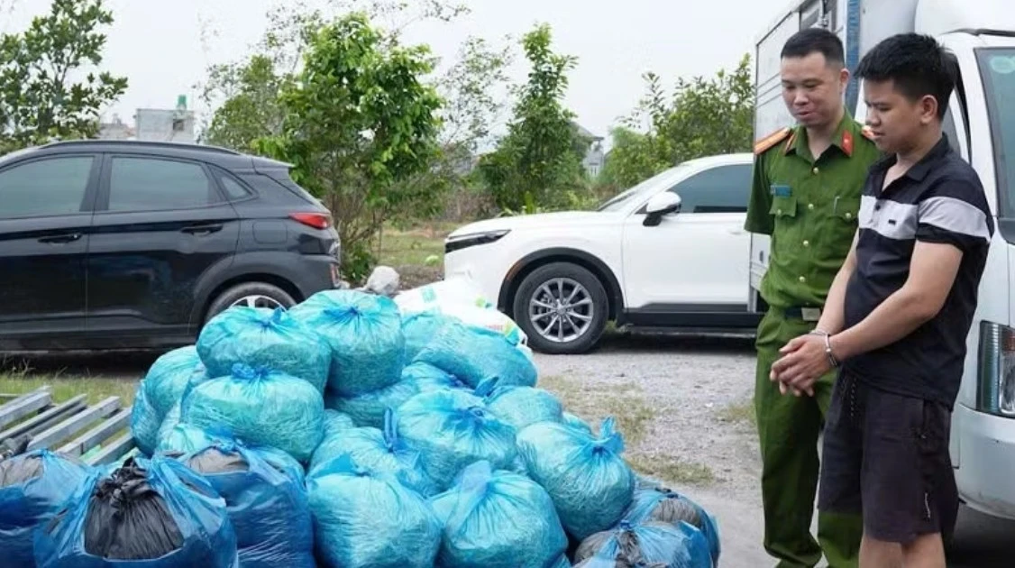 Quảng Ninh: Liên tiếp phát hiện 12 tấn giá đỗ nghi chứa chất cấm