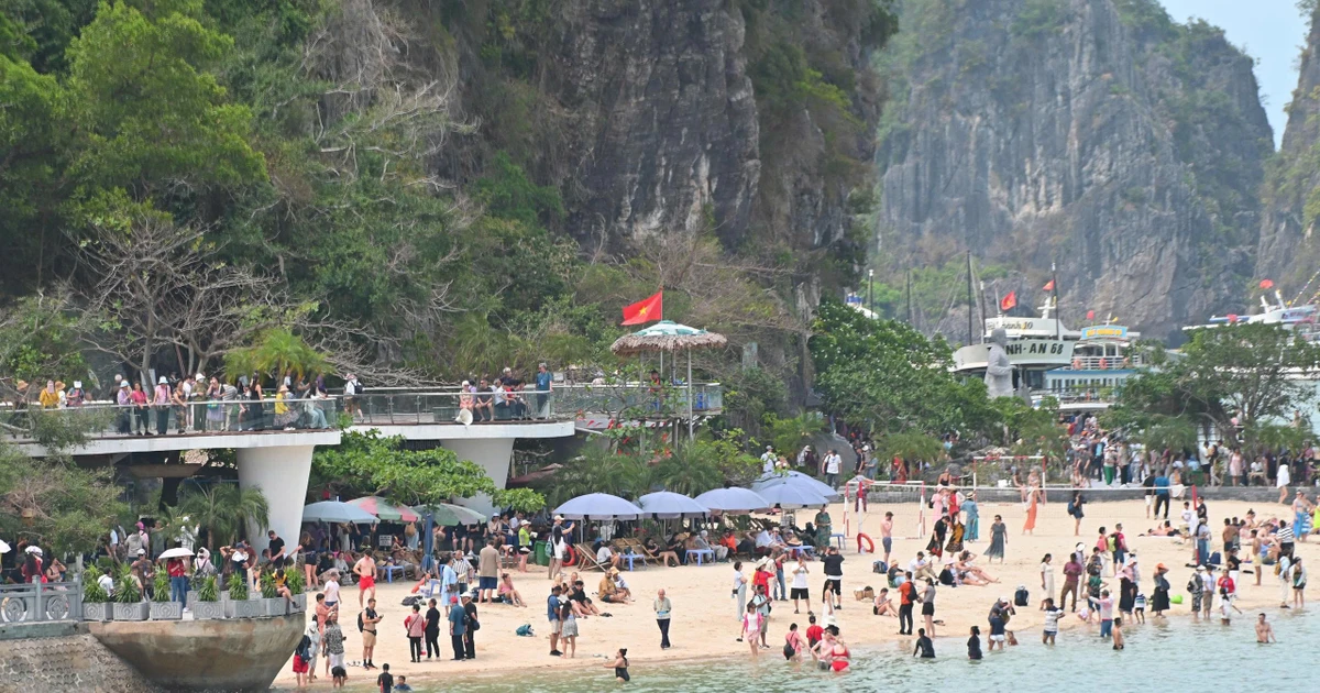 Vịnh Hạ Long nườm nượp người