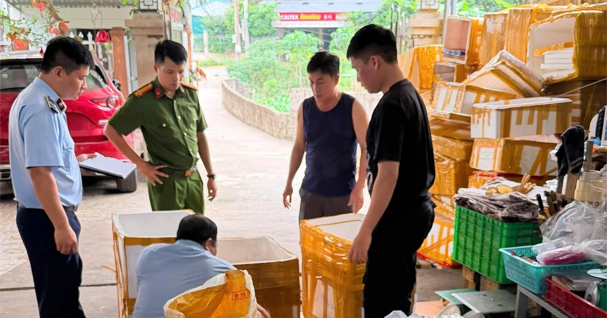 Phát hiện lượng lớn chả mực không rõ nguồn gốc