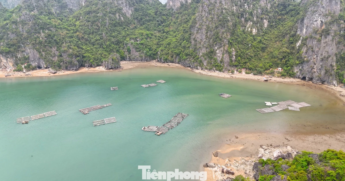 Liên tiếp phát hiện nuôi thủy sản trái phép trên vịnh Hạ Long