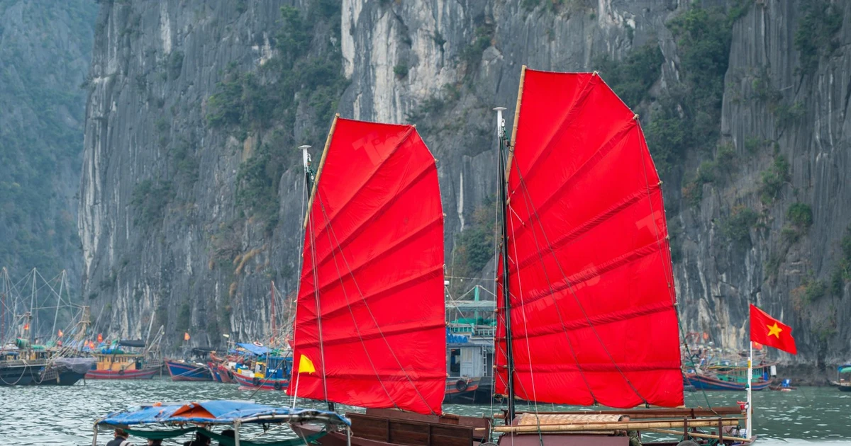 Sắp có tour du lịch thuyền buồm ba vách ven bờ vịnh Hạ Long