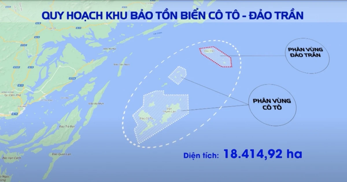 Ban Quản lý Di sản thế giới vịnh Hạ Long, Yên Tử nhận thêm Khu bảo tồn biển hơn 18.000ha