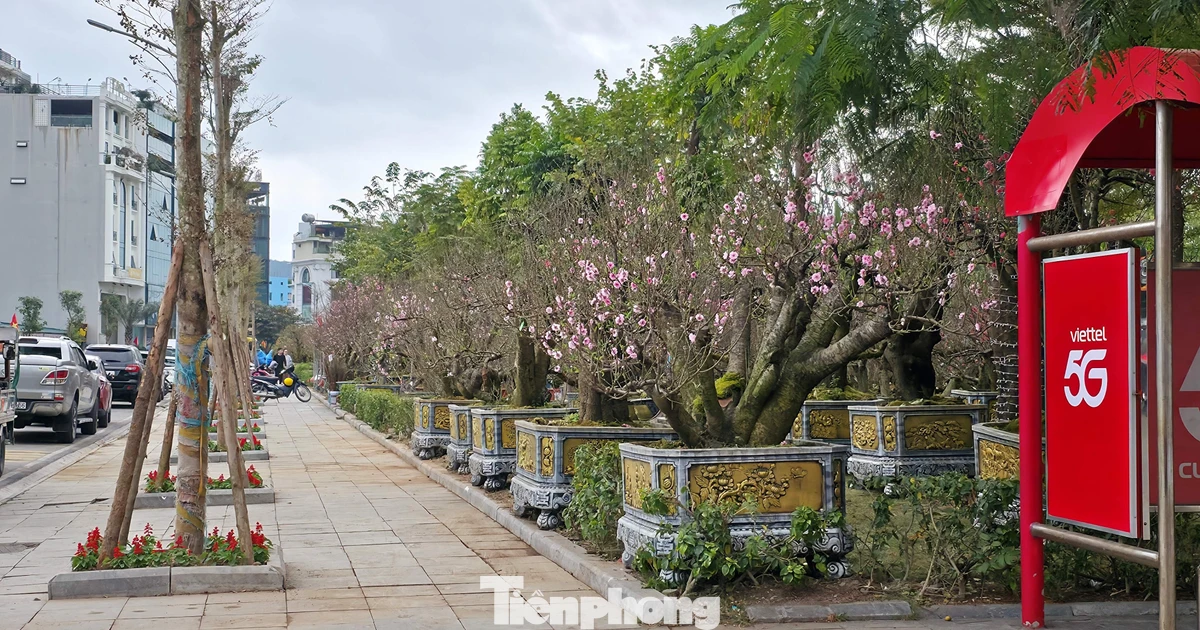 Vỉa hè và chốt thu phí xe ở Quảng Ninh được 'giải phóng' sau bài viết trên Báo Tiền Phong