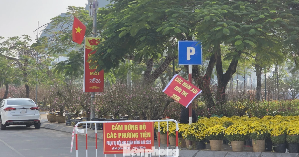 Quảng Ninh: Phường chia lô vỉa hè bán hoa, cấm ô tô để thu phí trái phép