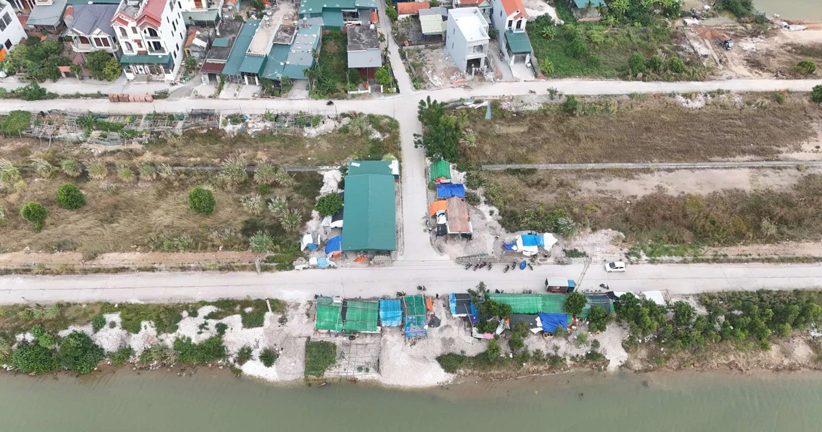 Quảng Ninh xử lý hàng loạt cơ sở chế biến hàu