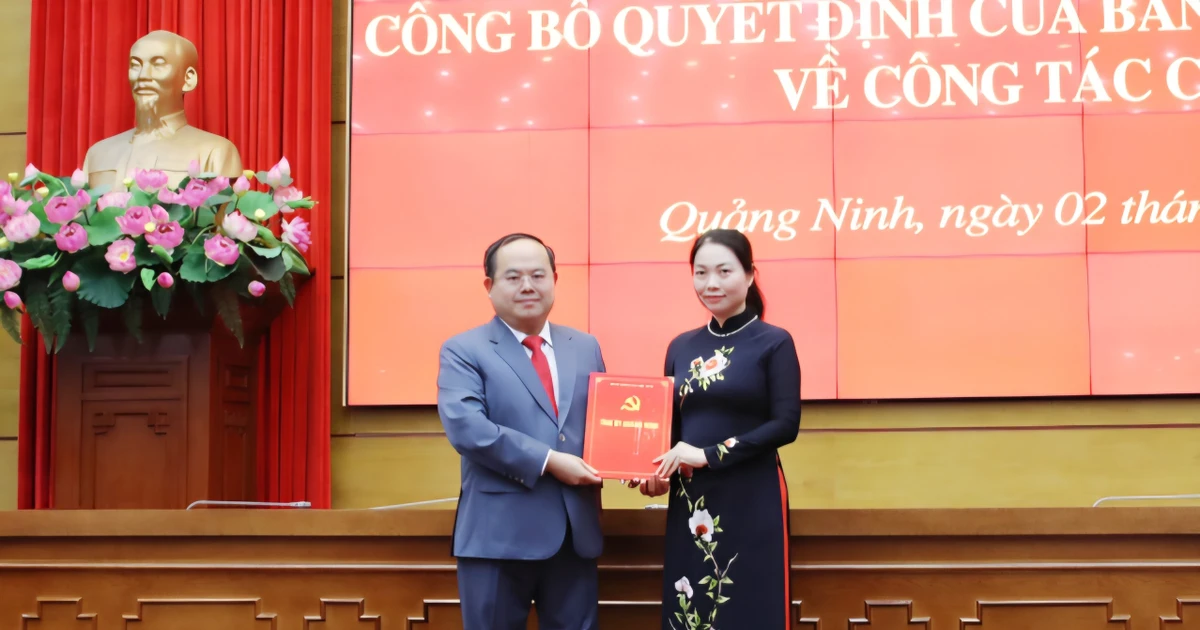 Quảng Ninh điều động Giám đốc Sở Giáo dục và Đào tạo làm Bí thư phường