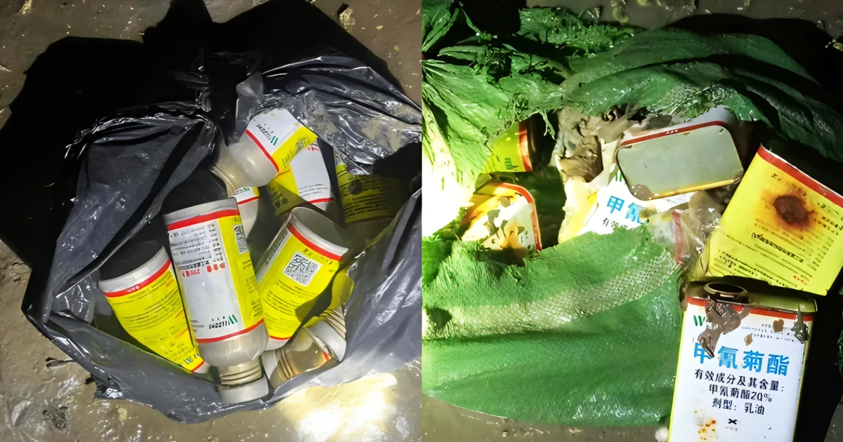 Truy tìm nguồn hóa chất nghi tận diệt thủy sản ven biển