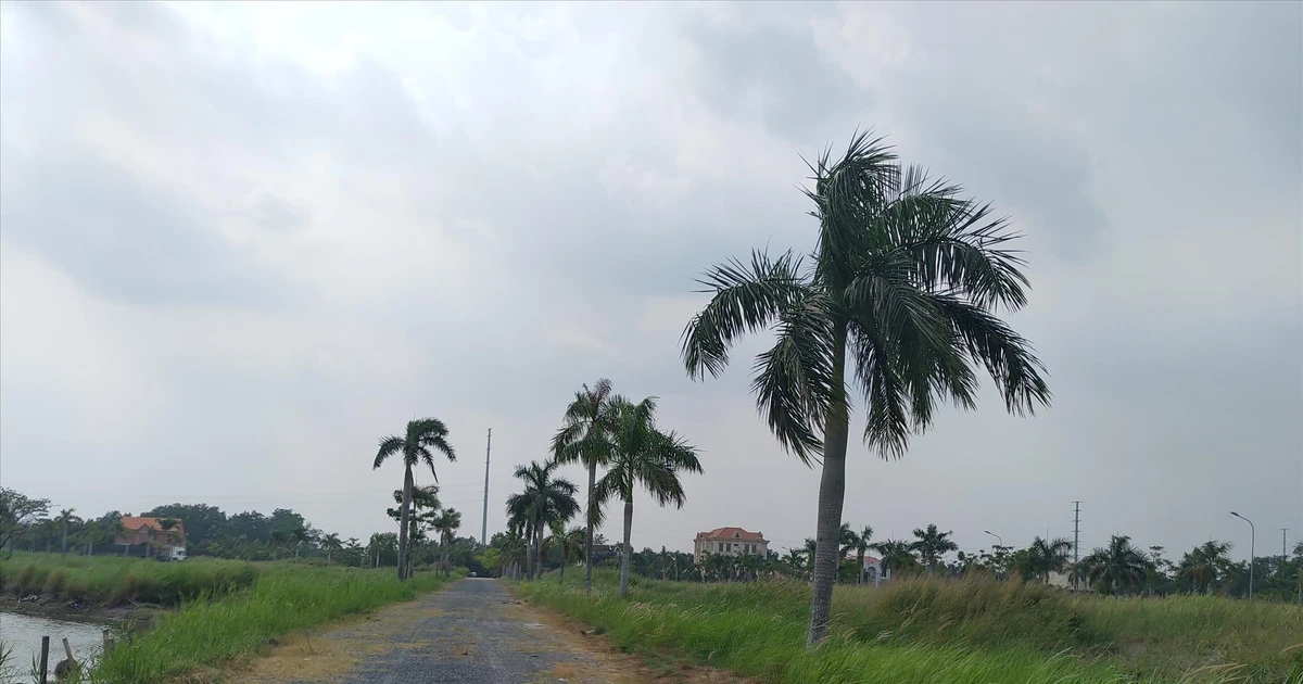 tienphong.vn
