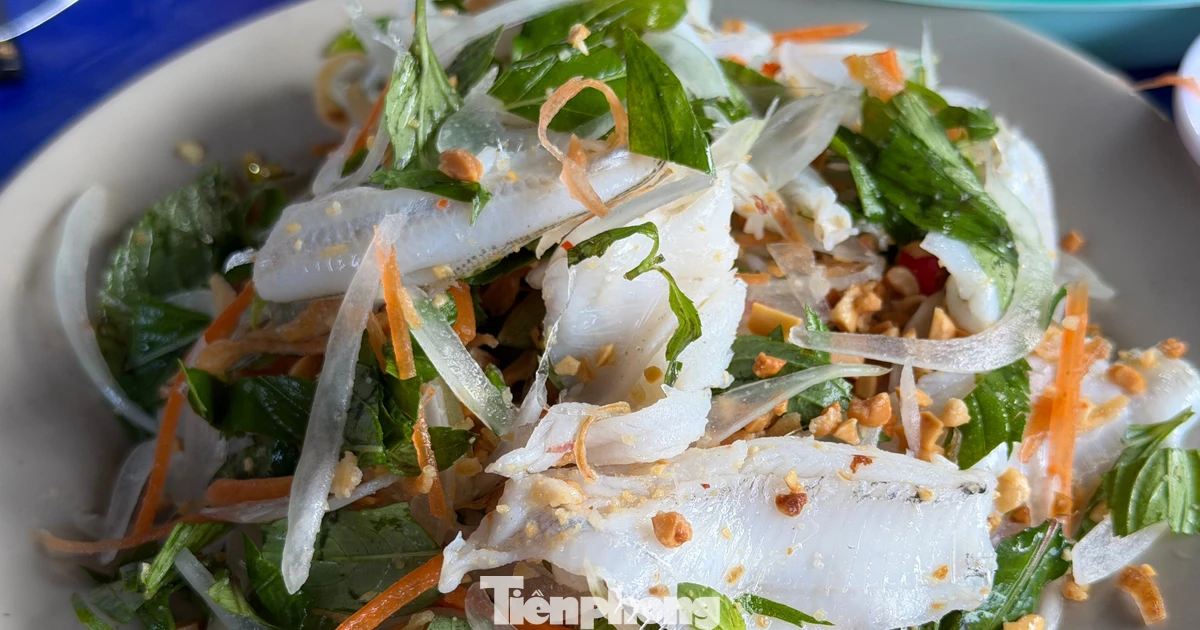 Thử ngay món gỏi cá mai chuẩn vị khi đến Nha Trang