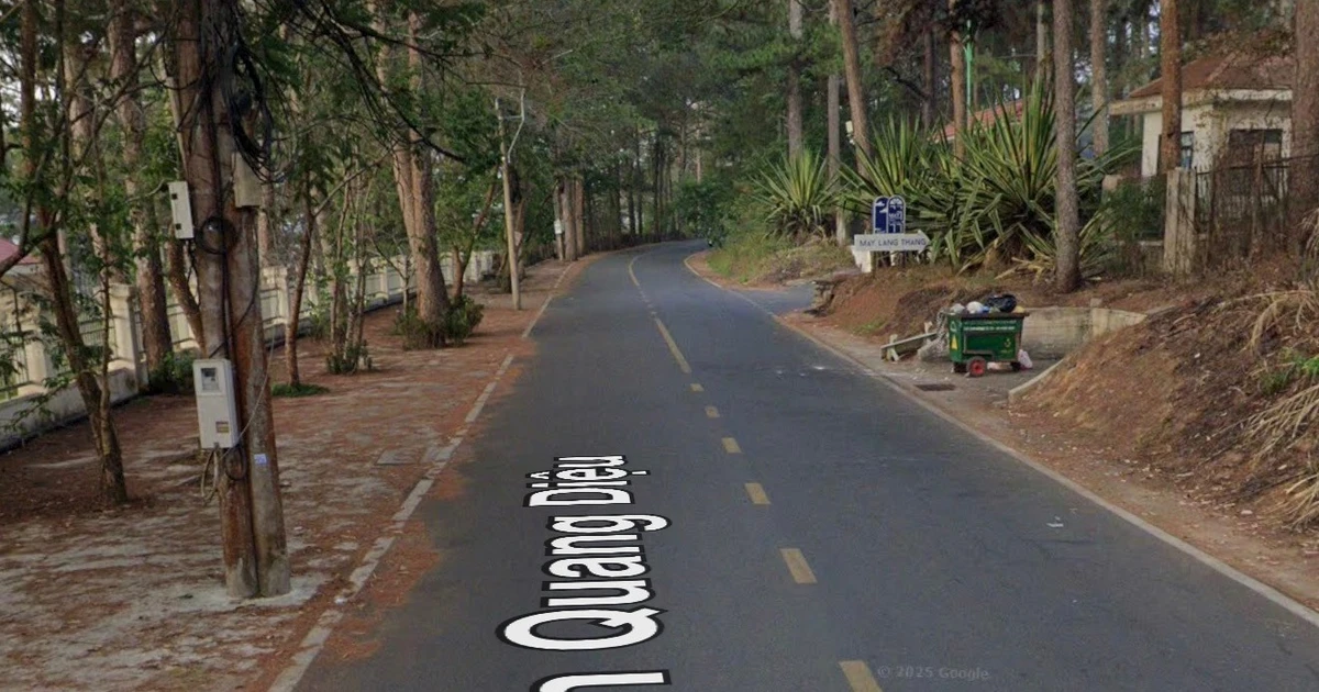 Trưng cầu định giá 8 lô 'đất vàng' ở Đà Lạt để điều tra