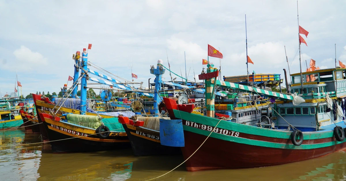 Chủ động ứng phó áp thấp nhiệt đới khả năng mạnh lên thành bão