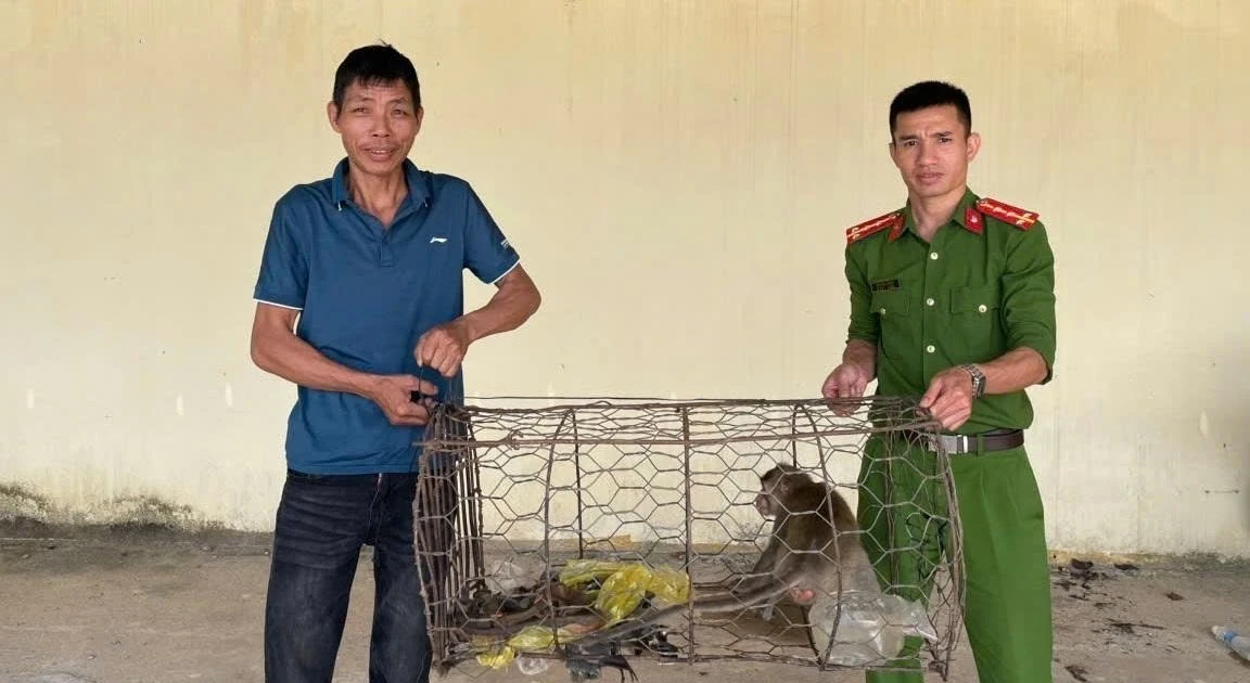 Người dân mang khỉ đuôi dài, trăn gấm đến giao nộp công an
