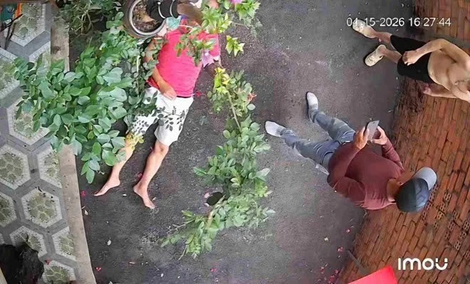 Người đàn ông bị hàng xóm đánh bất tỉnh vì chậu cây