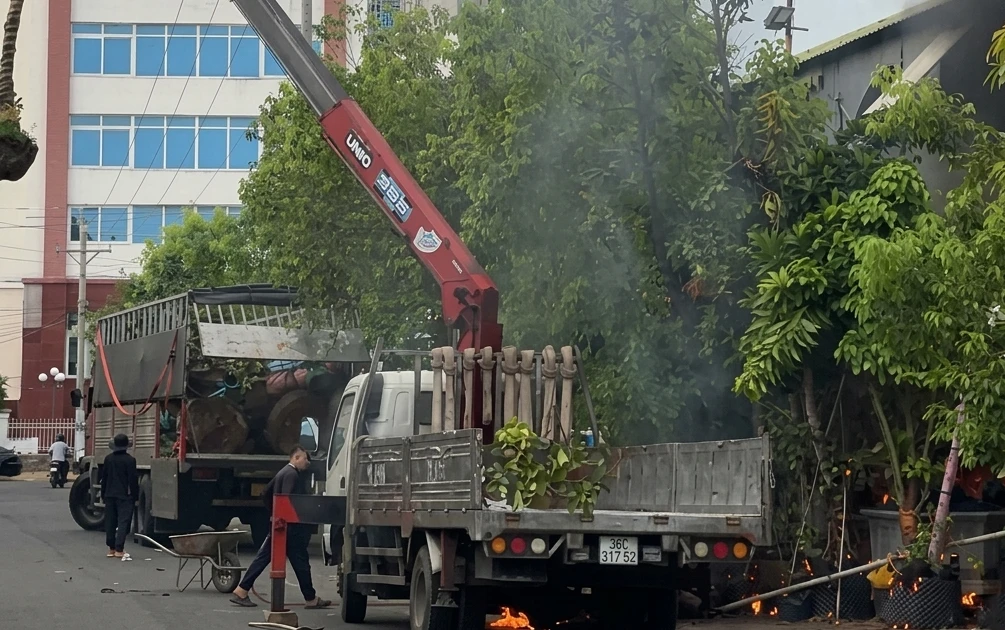 Xe cẩu cây xanh vướng dây điện, một nam thanh niên đứng gần bị tử vong