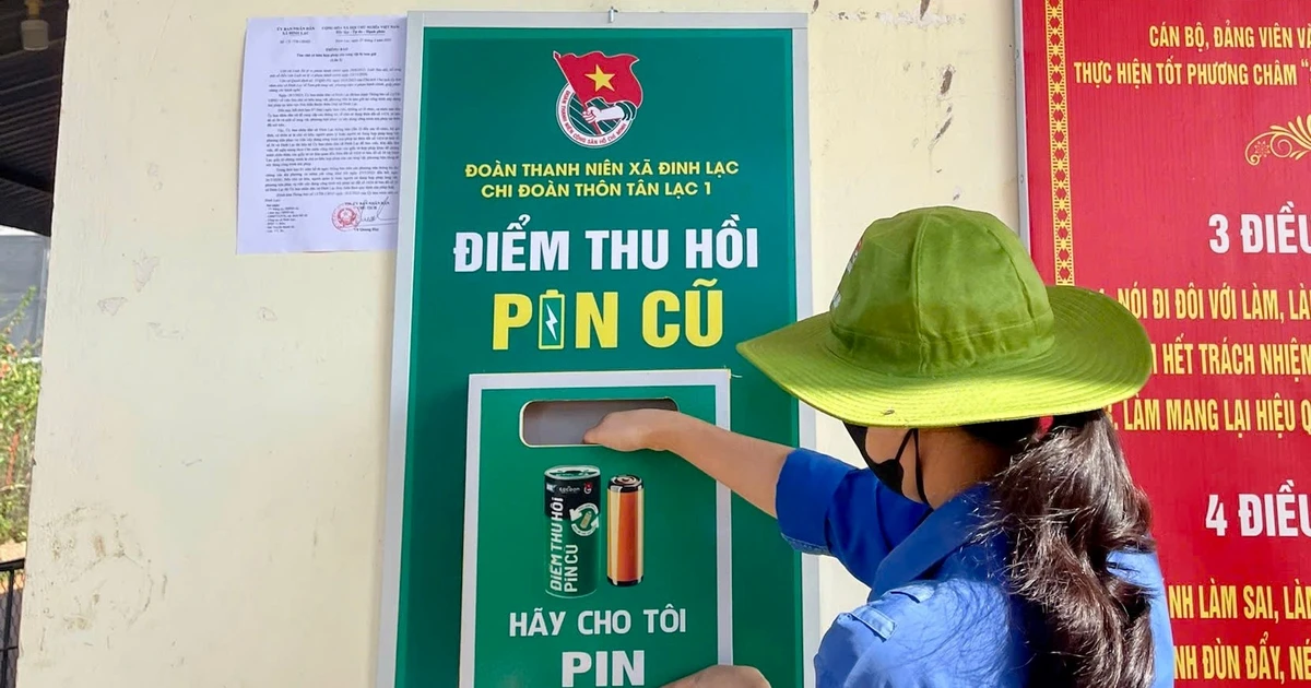 Gom pin cũ đổi lấy cây: Từ việc nhỏ bé dần thành thói quen