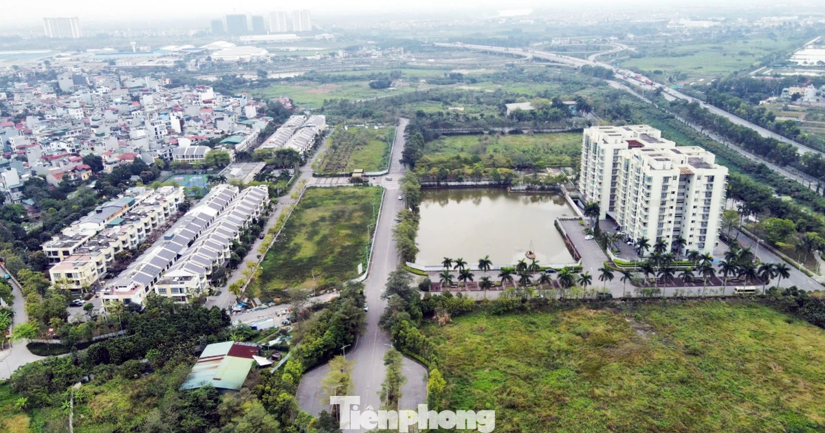 Vụ dự án 88 Central lật kèo sau 6 năm 'ôm đất': Có dấu hiệu hình sự, chuyển cơ quan công an
