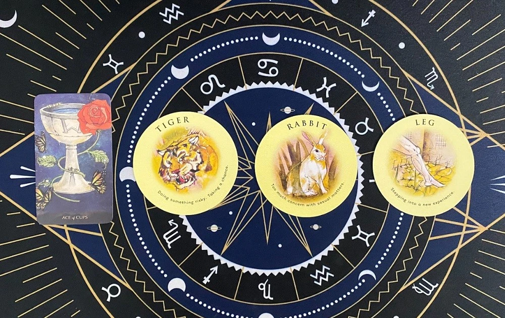 Tarot tuần này: Bạch Dương chợt thấy tương tư, Song Tử cần tìm “thành tựu ẩn”