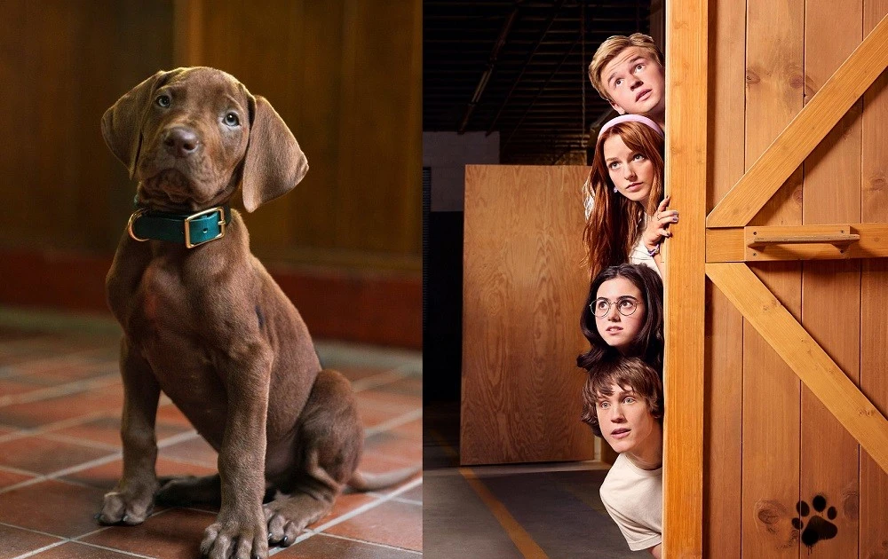 Netflix lần đầu tiên sử dụng chó thật trong “Scooby-Doo”, netizen chê quá chê