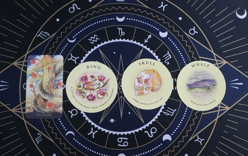 Tarot tuần này: Thiên Yết nên “giữ chặt” túi tiền, Ma Kết lắng nghe trực giác