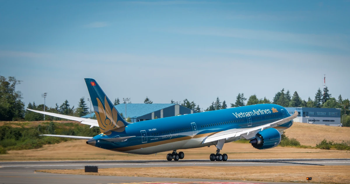 Máy bay Vietnam Airlines từ Đức về TPHCM hạ cánh khẩn cấp ở Thổ Nhĩ kỳ