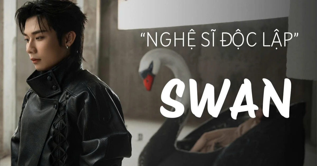 Từ Tân binh đến nghệ sĩ SWAN: "Mọi thứ trở nên lớn hơn, nhưng tôi vẫn là chính mình"