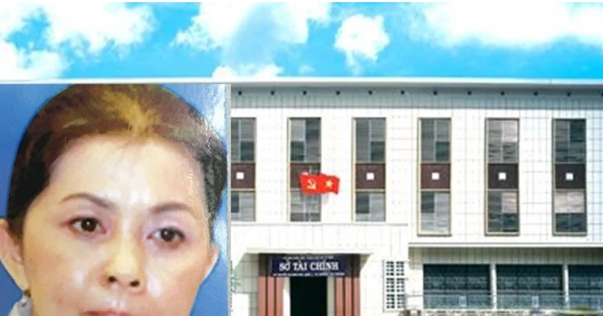 Vụ 'hô biến đất vàng': Kêu gọi cựu Giám đốc Sở Tài chính TPHCM Đào Thị Hương Lan đầu thú