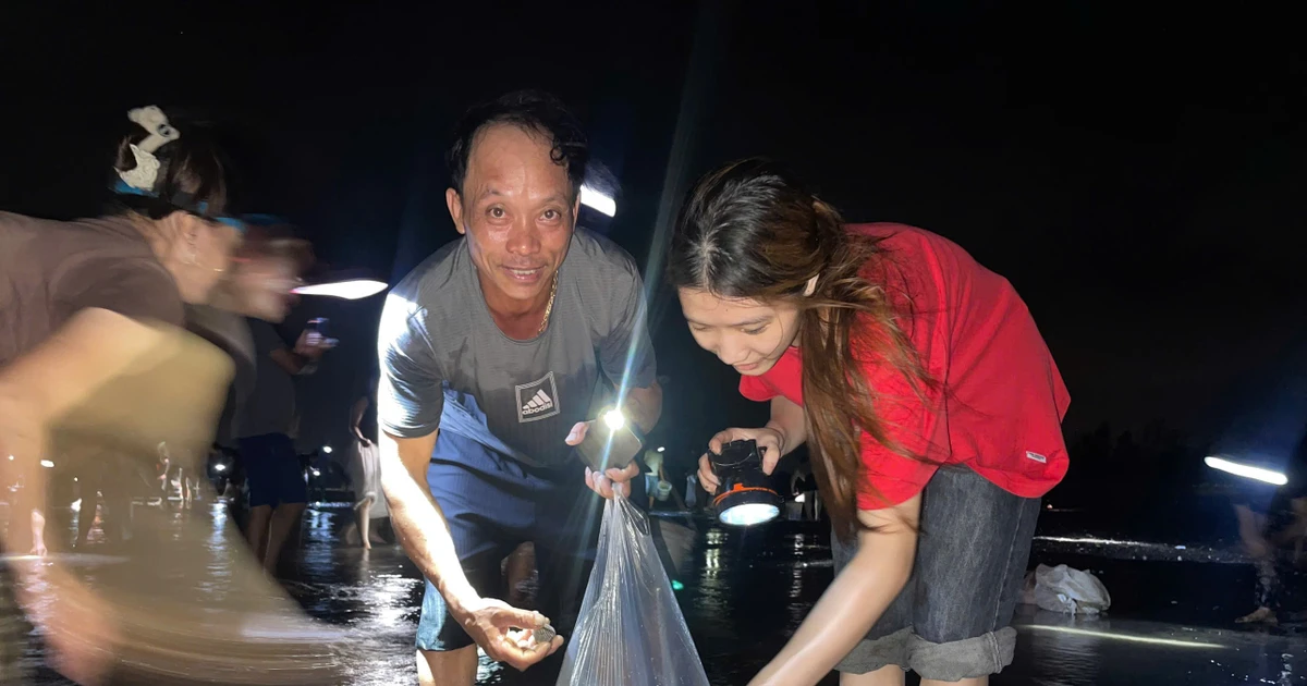 Bãi biển Ninh Bình phủ trắng ngao, sò dạt vào bờ, người dân đổ xô đi bắt