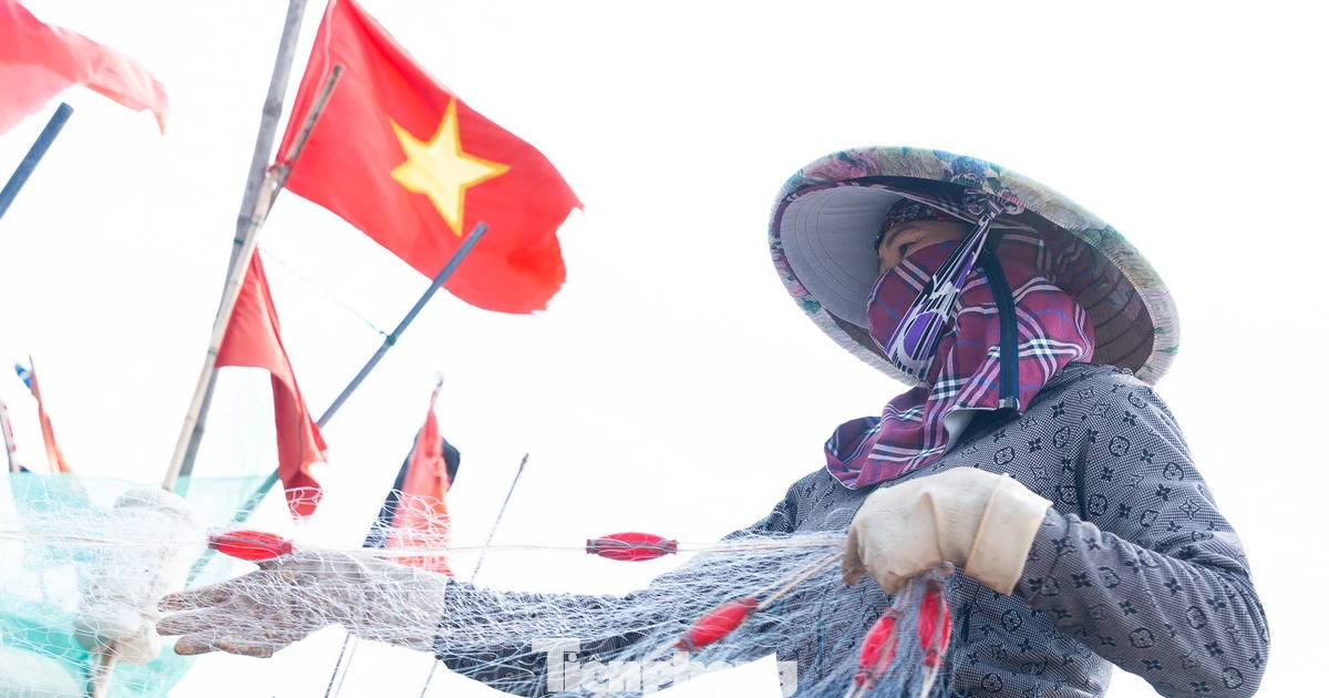 Làng chài rực đỏ cờ Tổ quốc