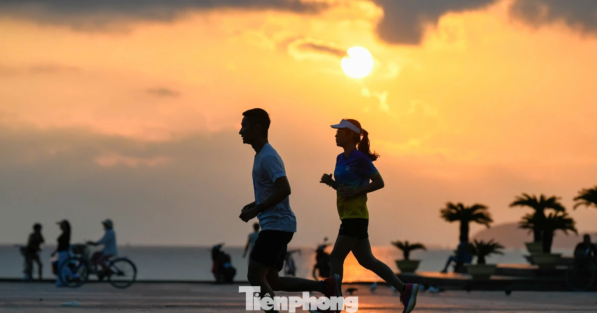 Vận động viên chạy thử cung đường Tiền Phong Marathon 2026