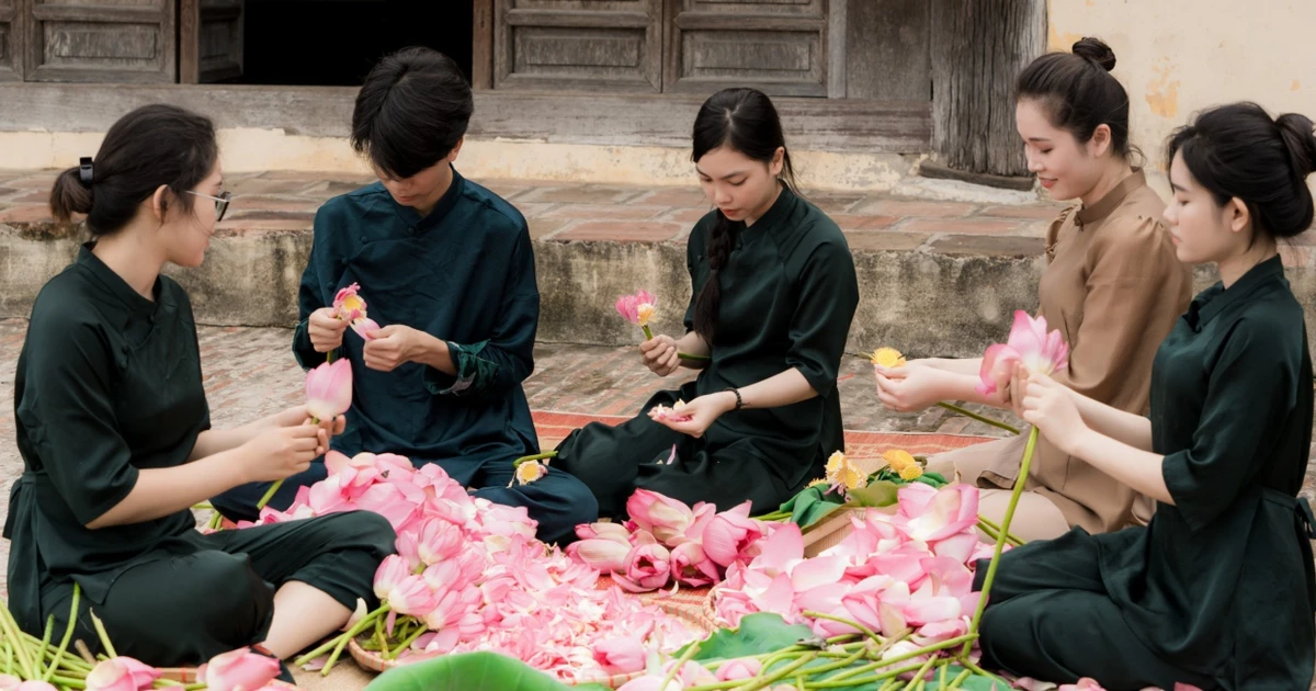 Người Hà Nội thưởng thức sen như thế nào?