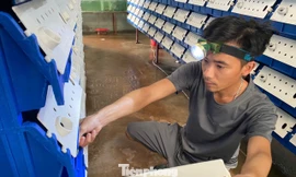 Về quê khởi nghiệp và kỳ vọng giảm nghèo cho người dân