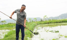 Giúp người dân thoát nghèo từ những con ốc